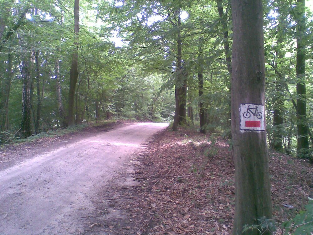 szlak