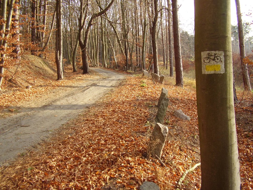 szlak