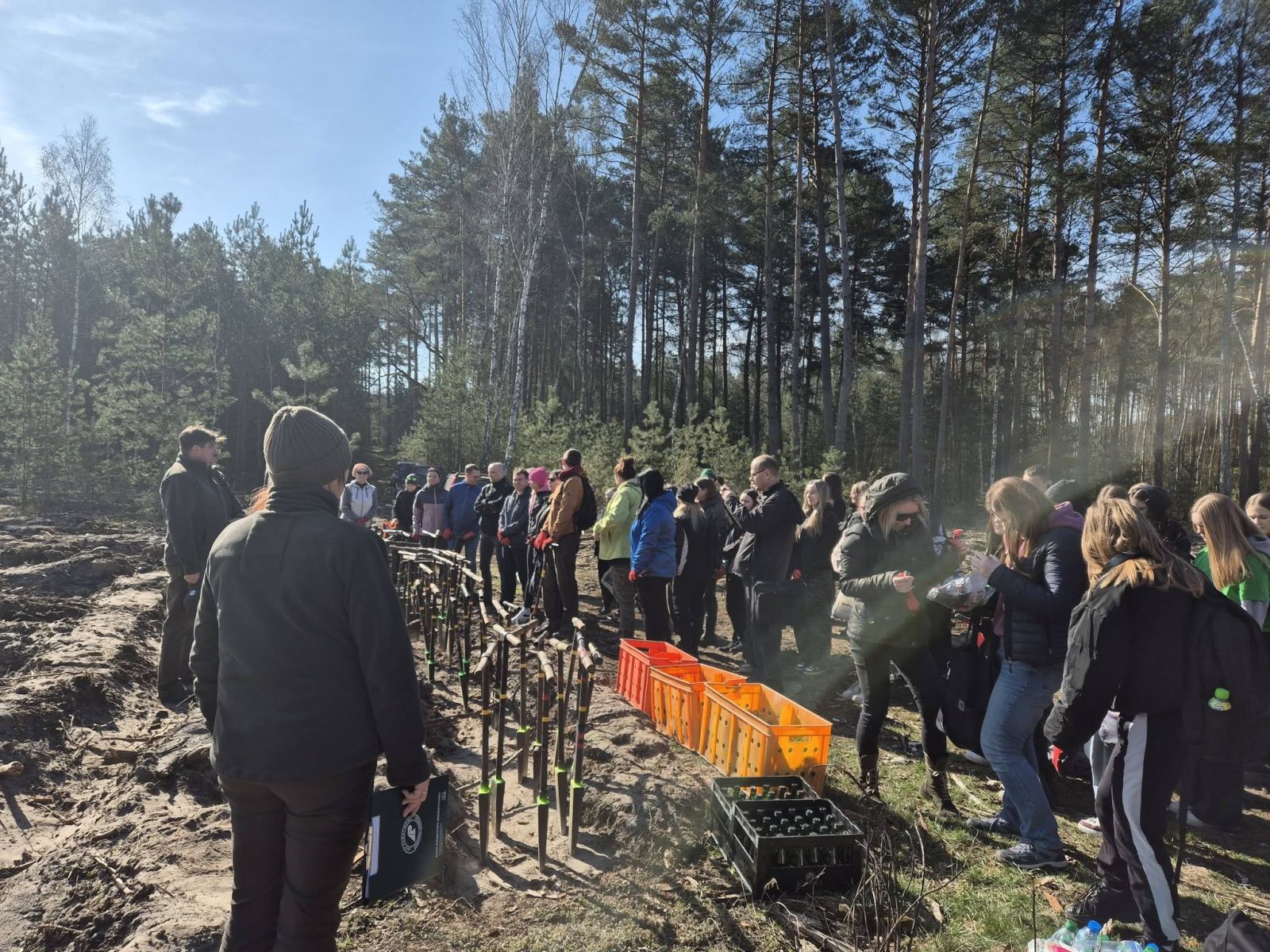 Zdjęcie: Powiatowe Sadzenie Lasu