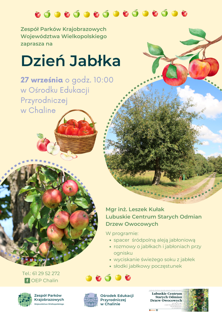 Zdjęcie: Dzień Jabłka
