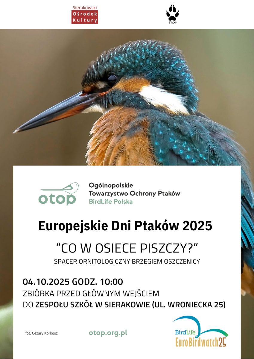 Zdjęcie: Europejskie Dni Ptaków 2025