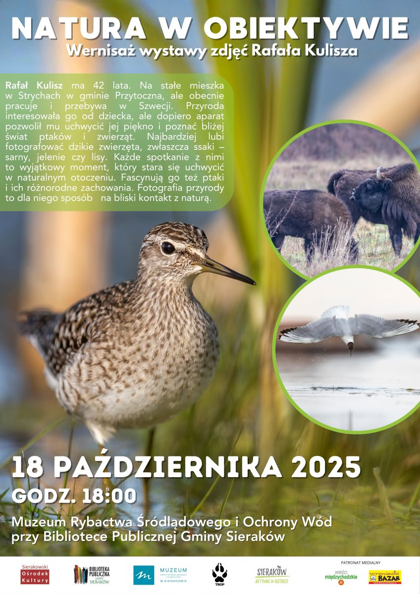 Zdjęcie: Wystawa Rafała Kulisza