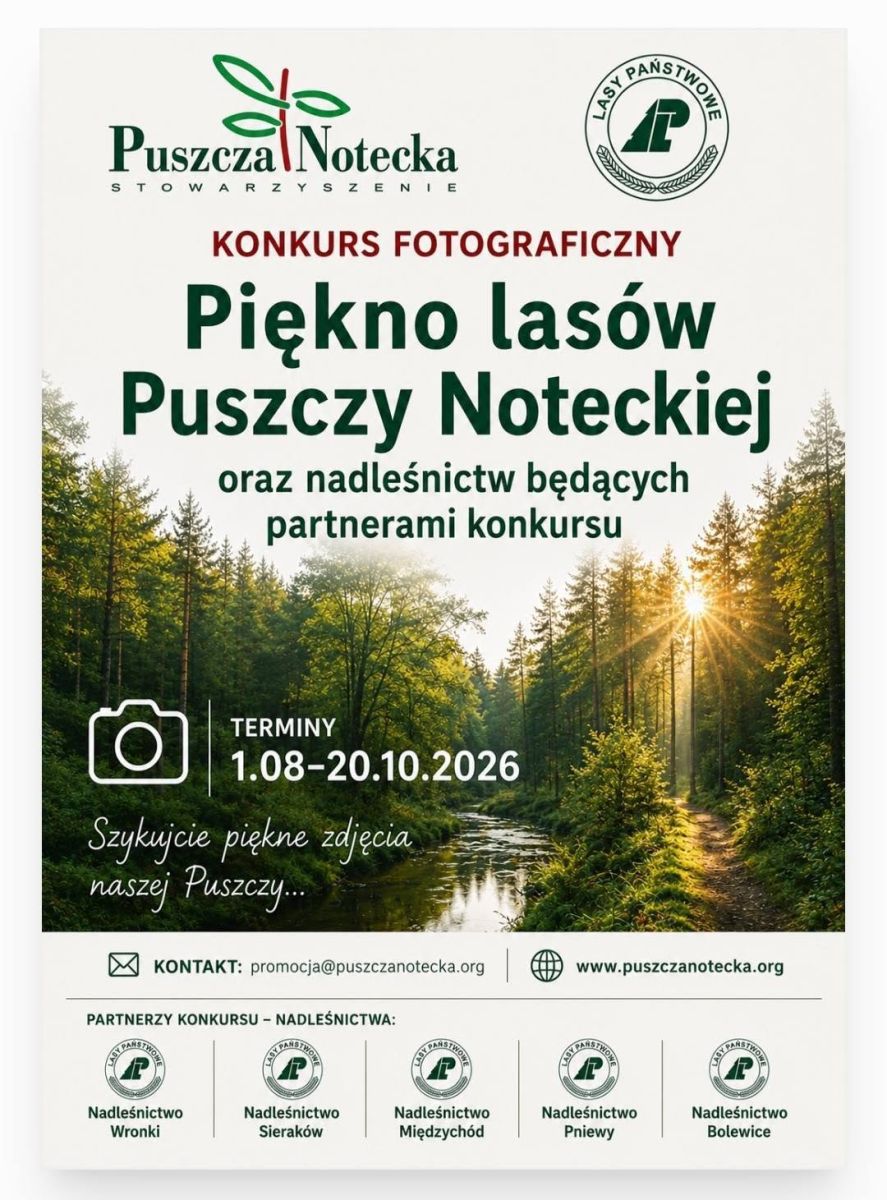 Zdjęcie: „Piękno lasów Puszczy Noteckiej oraz  nadleśnictw będących partnerami konkursu”
